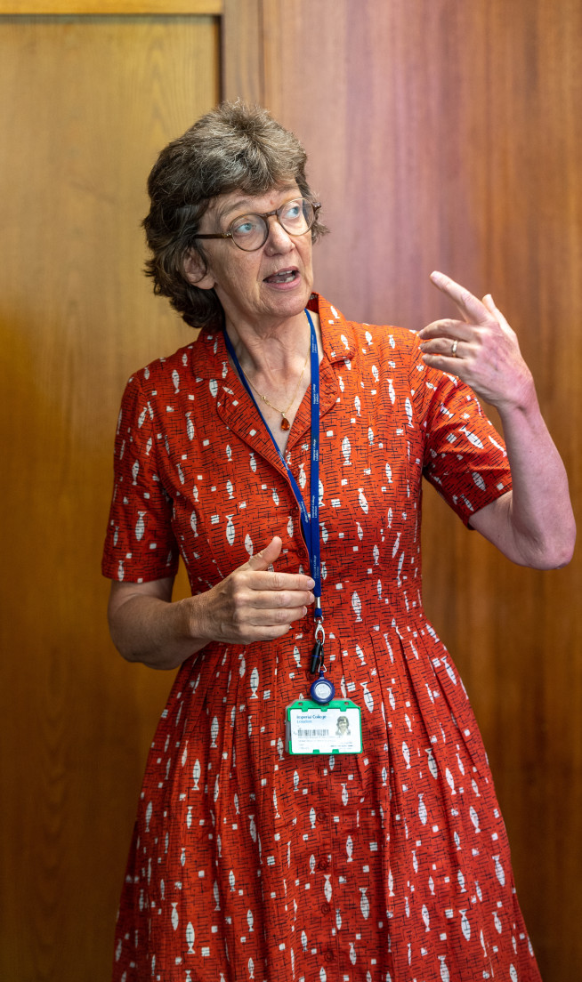Professor Anne Lingford-Hughes, Head of the Addiction Research Group and Chair in Addiction Biology.