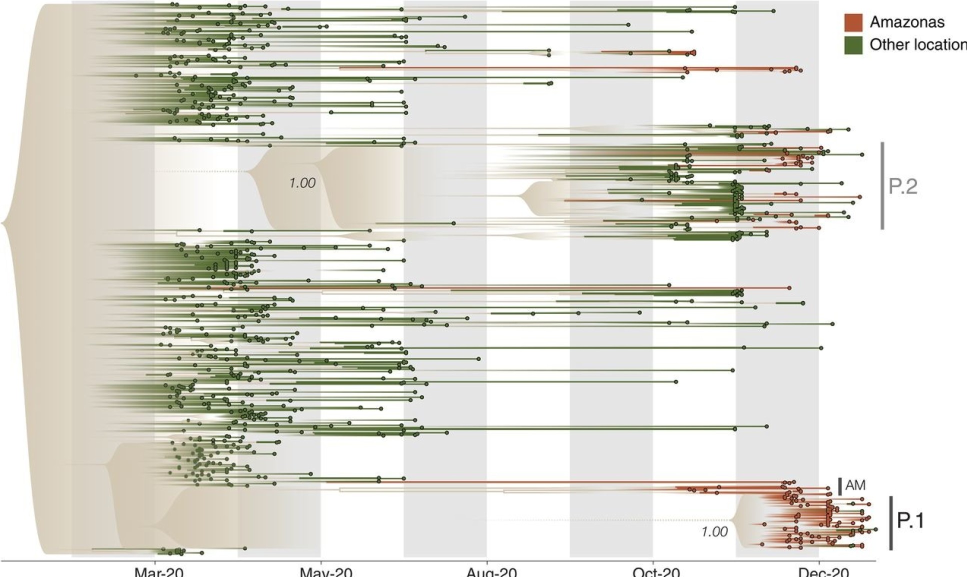 Genomics