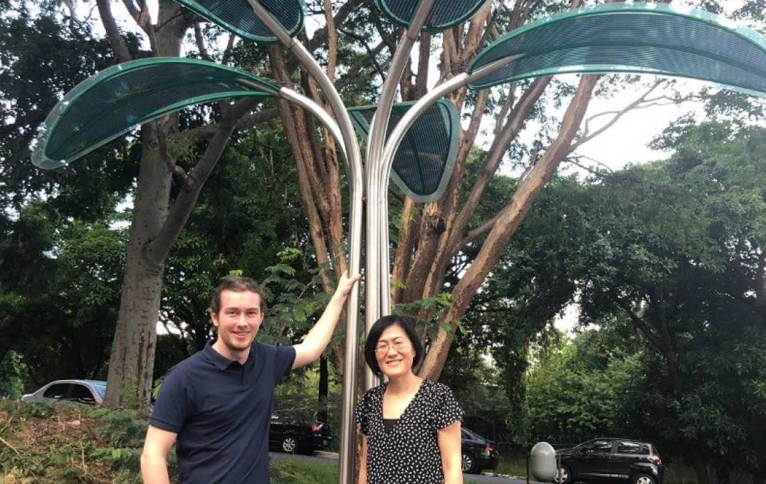 Solar tree