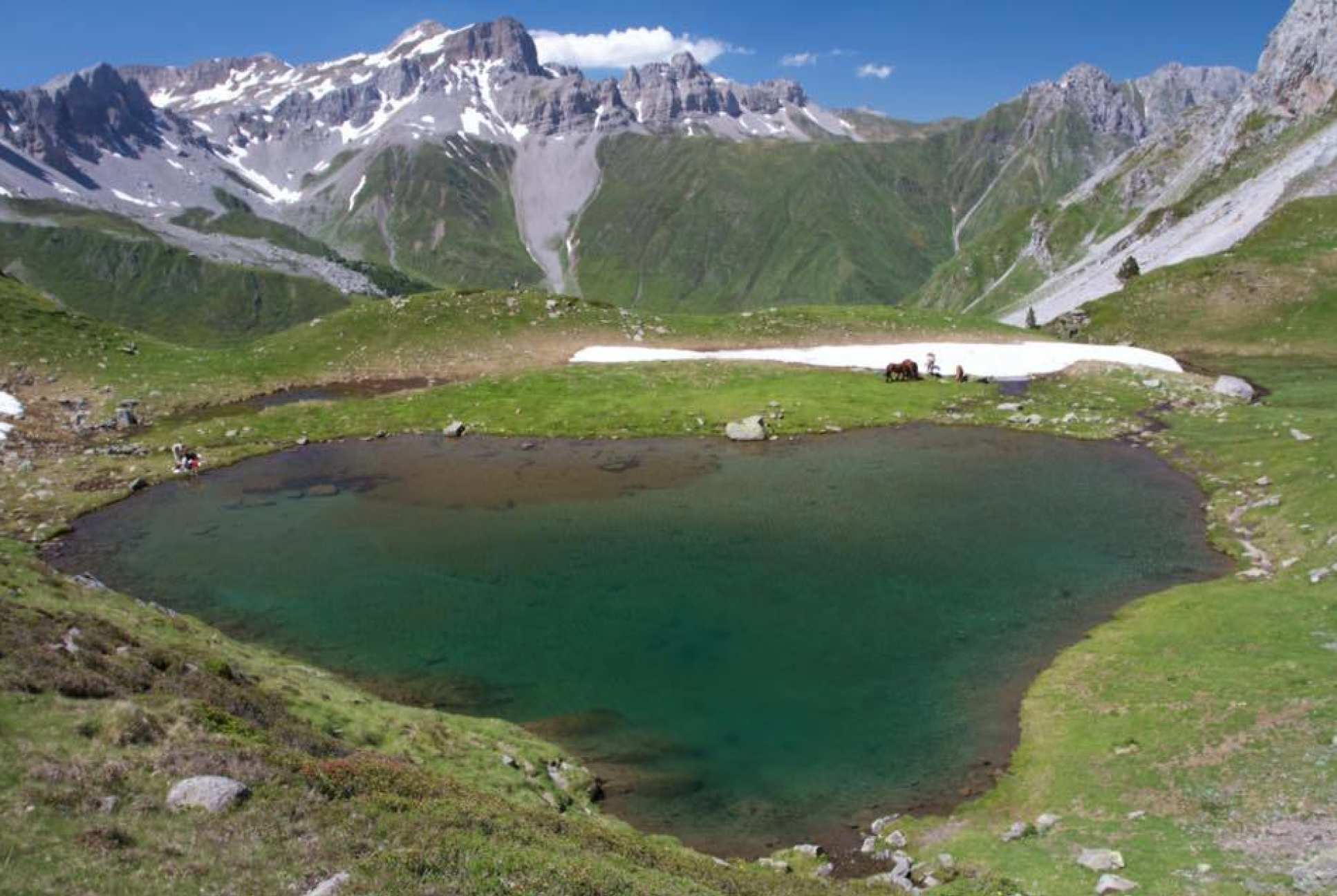 The toads' habitat in the Pyrenees