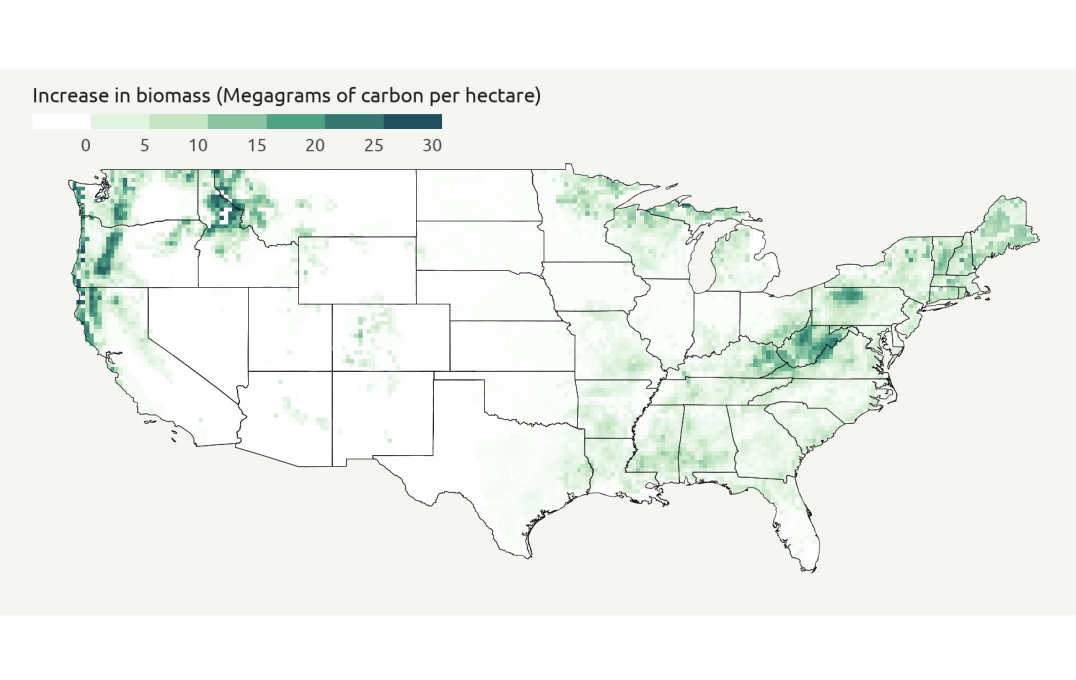 Map of plant biomass increase predicted for 2100 for USA