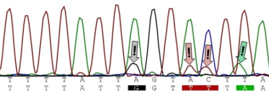 DNA Contamination