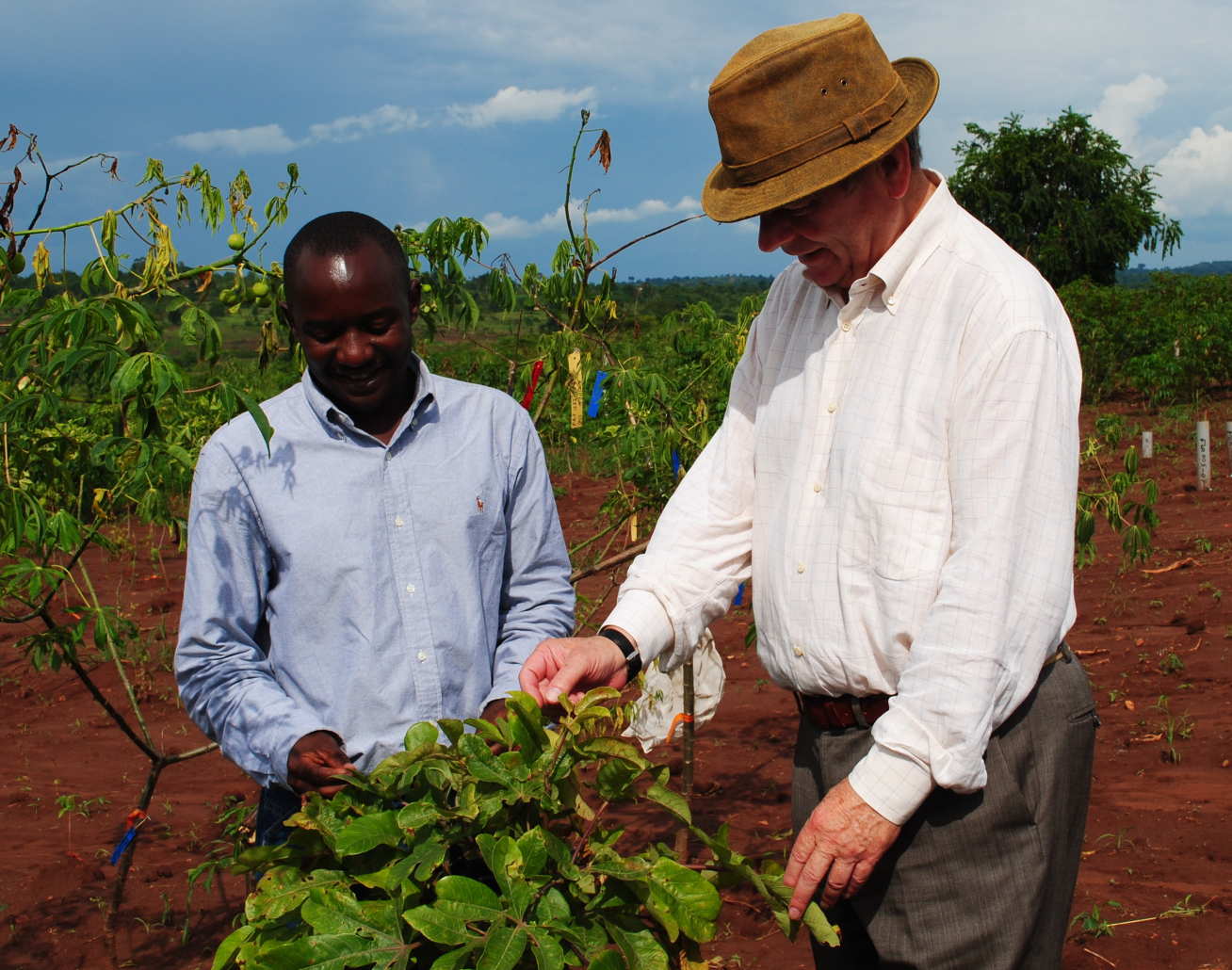 Working with farmers growing lime trees in Uganda