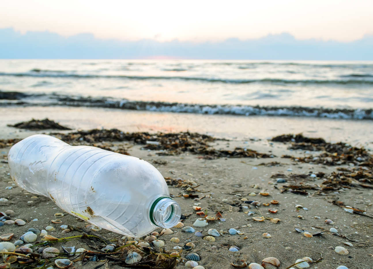 A plastic bottle on the beach