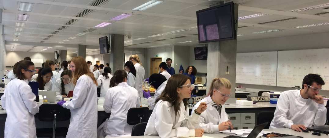 Students in a laboratory, working on a bacterial growth project