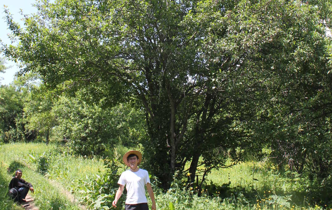 Man in front of a tree