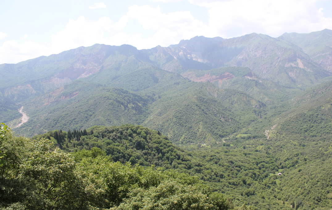 Walnut–fruit forests in Kyrgyzstan 