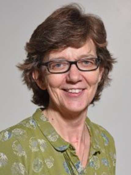 Professor Anne Lingford-Hughes