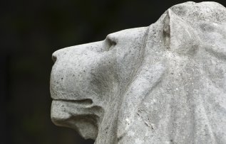 Freedom of Information