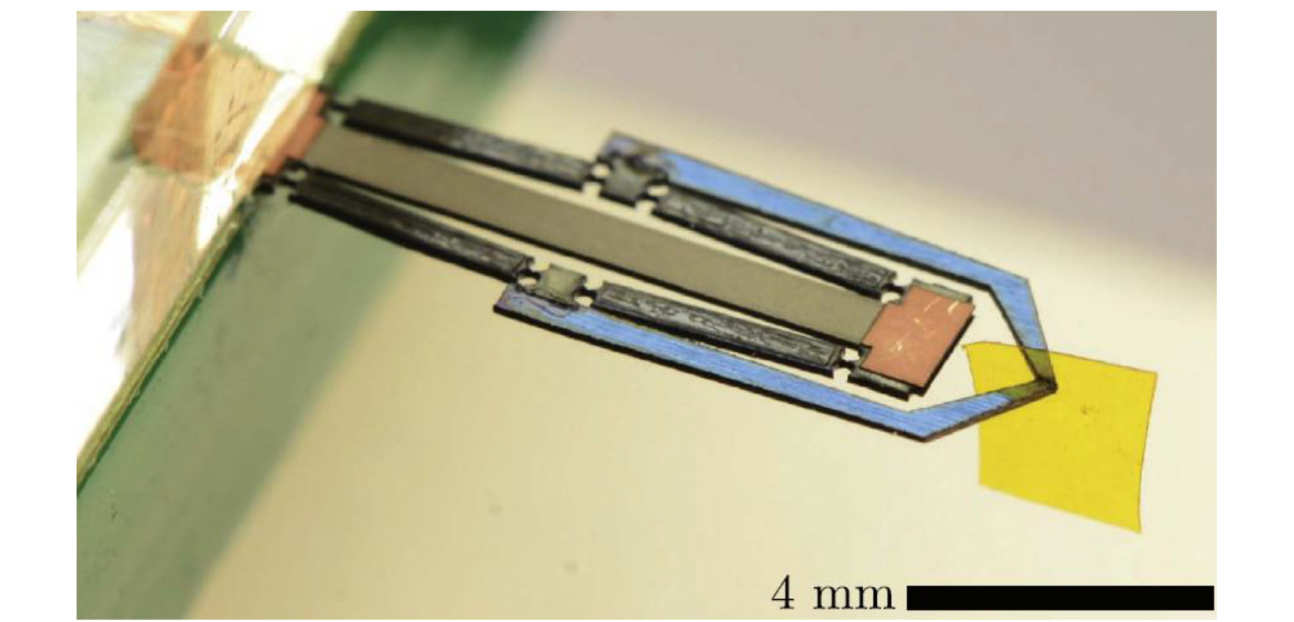 Micro motion amplification-2