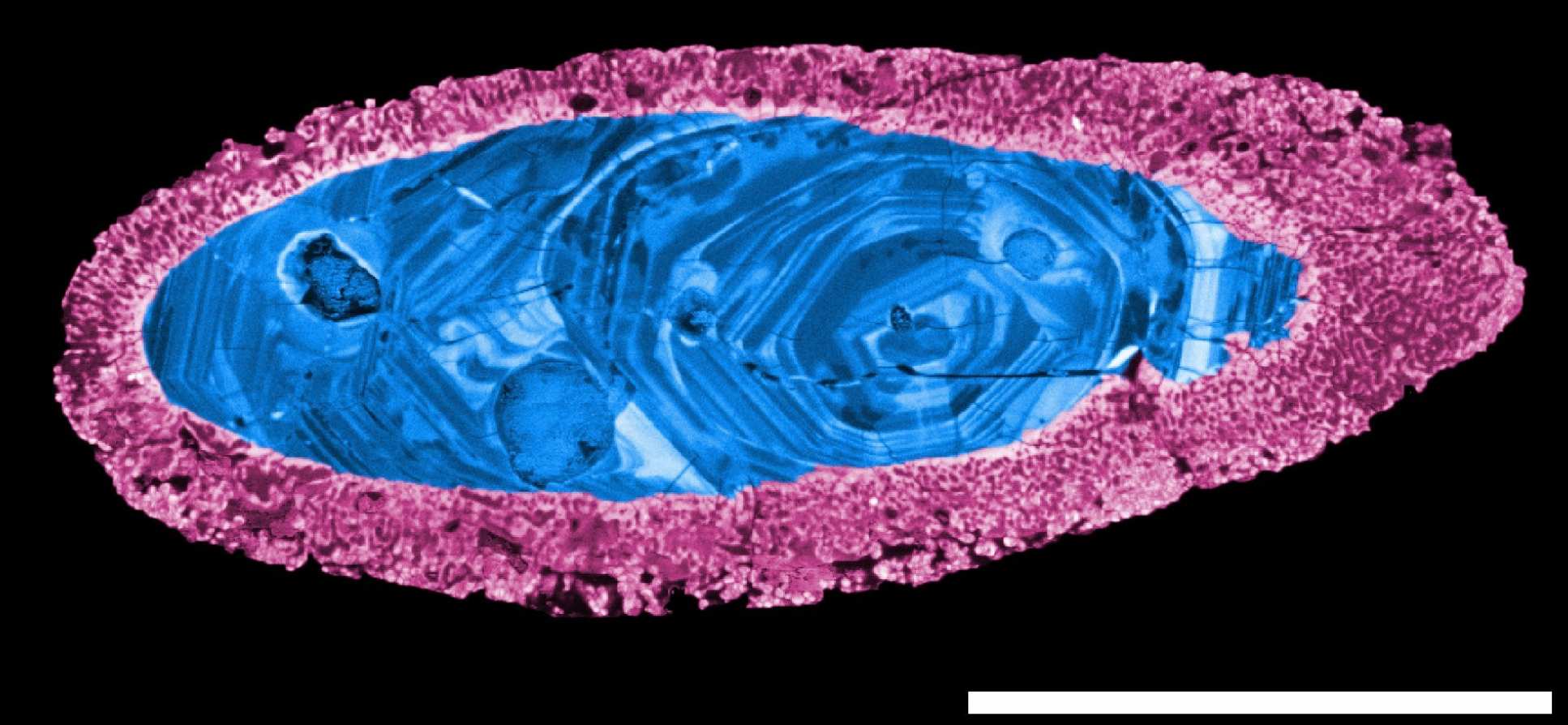 A CL (cathodoluminescence) false colour image of one of the Yarrabubba zircon grains. An oval shaped crystal-like object with blue inside and a pink border