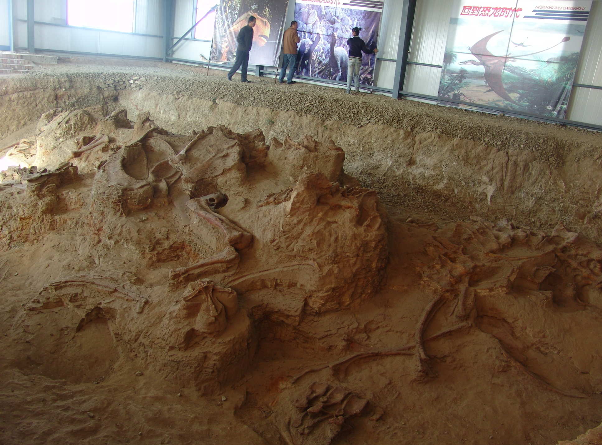 Photo of one of the four quarries producing Lingwulong fossils