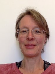 Picture of Professor Kristel Fobelets