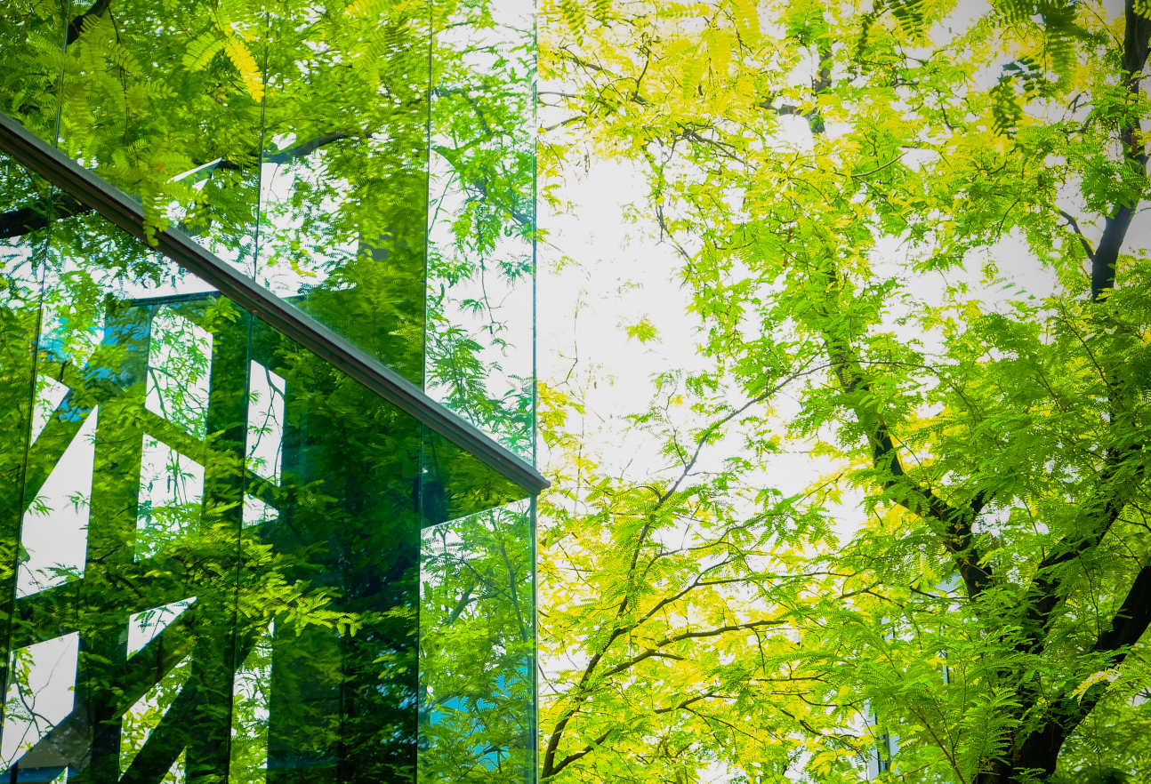 A glass building surrounded by green trees