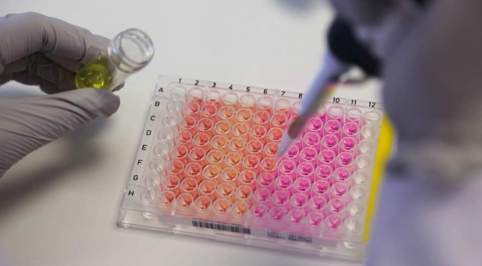 CATO - Important information