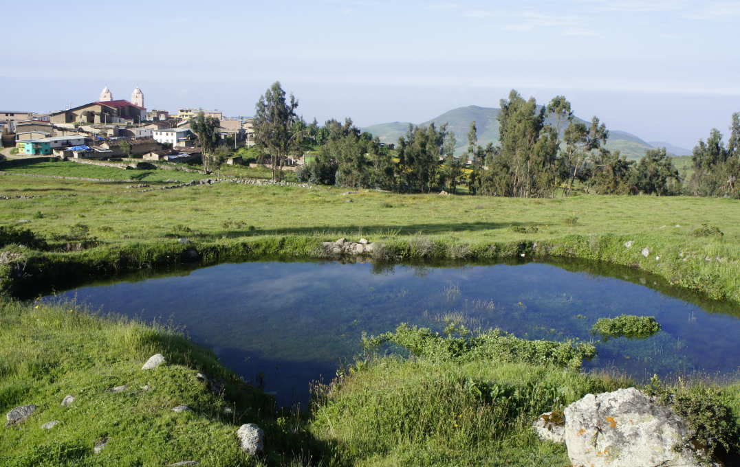 Photo of a water pond in wet season (showing a swollen pond and green grass)