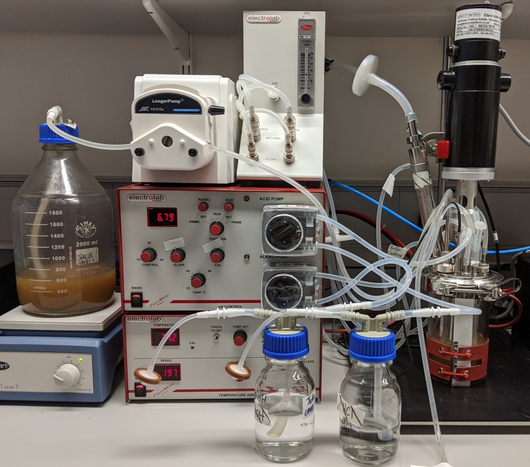 Artificial gut ("chemostat") model used to study the gut microbiota.