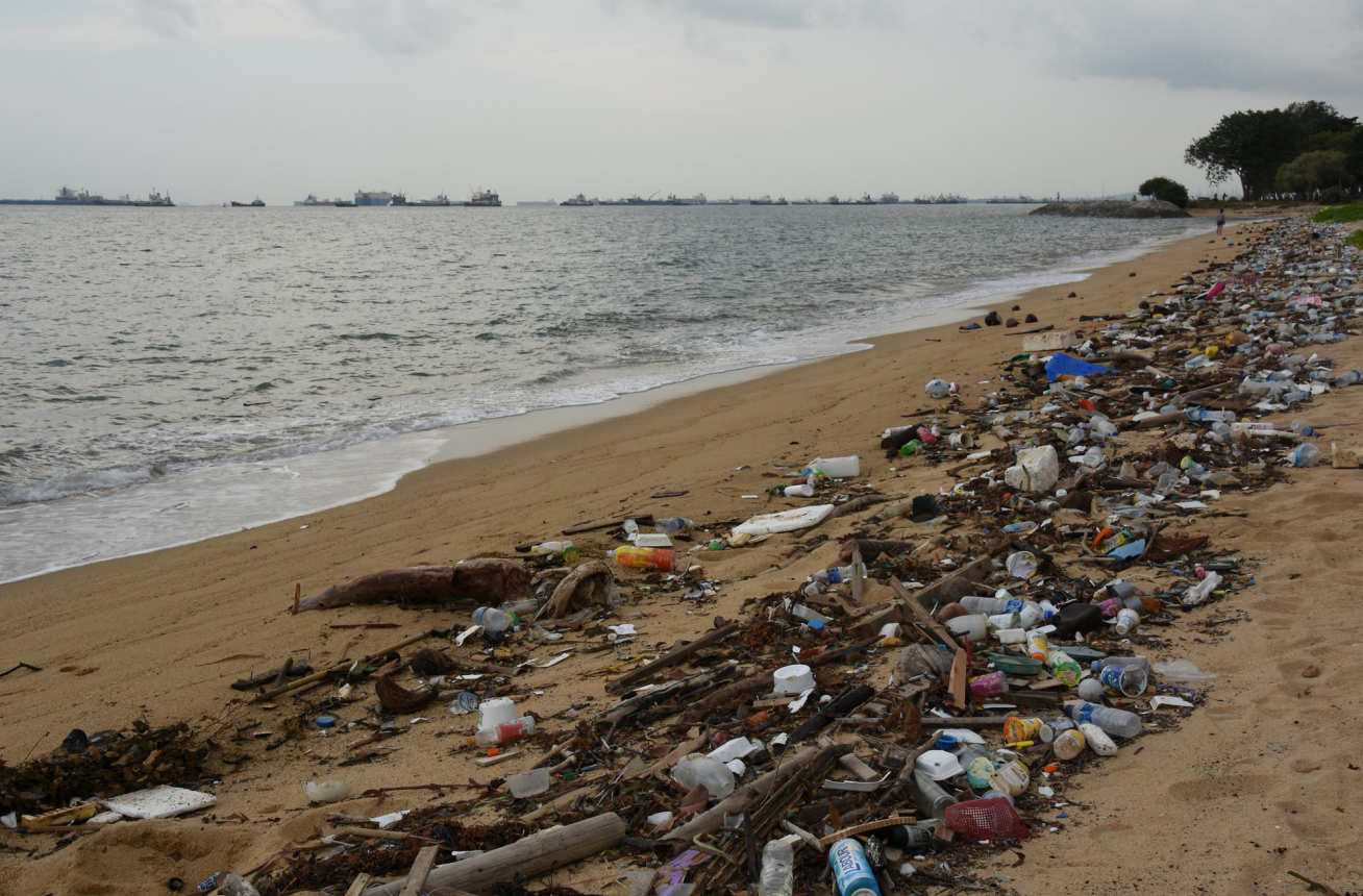 Plastic rubbish on a beach