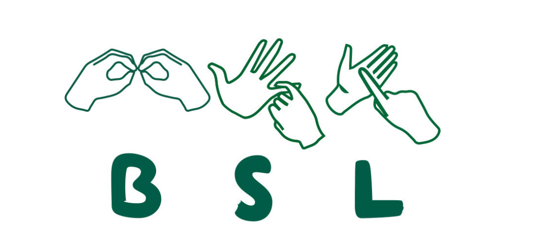 BSL image