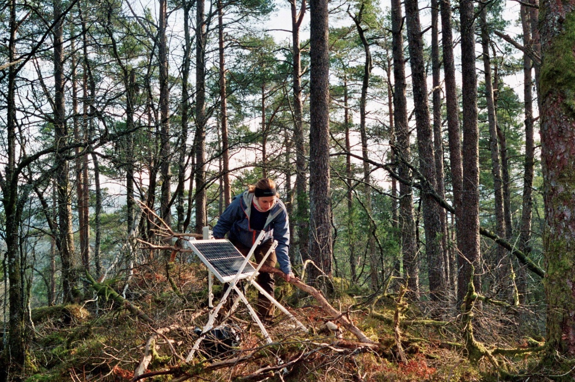 En kvinne som installerer et solcellepanel blant trærne