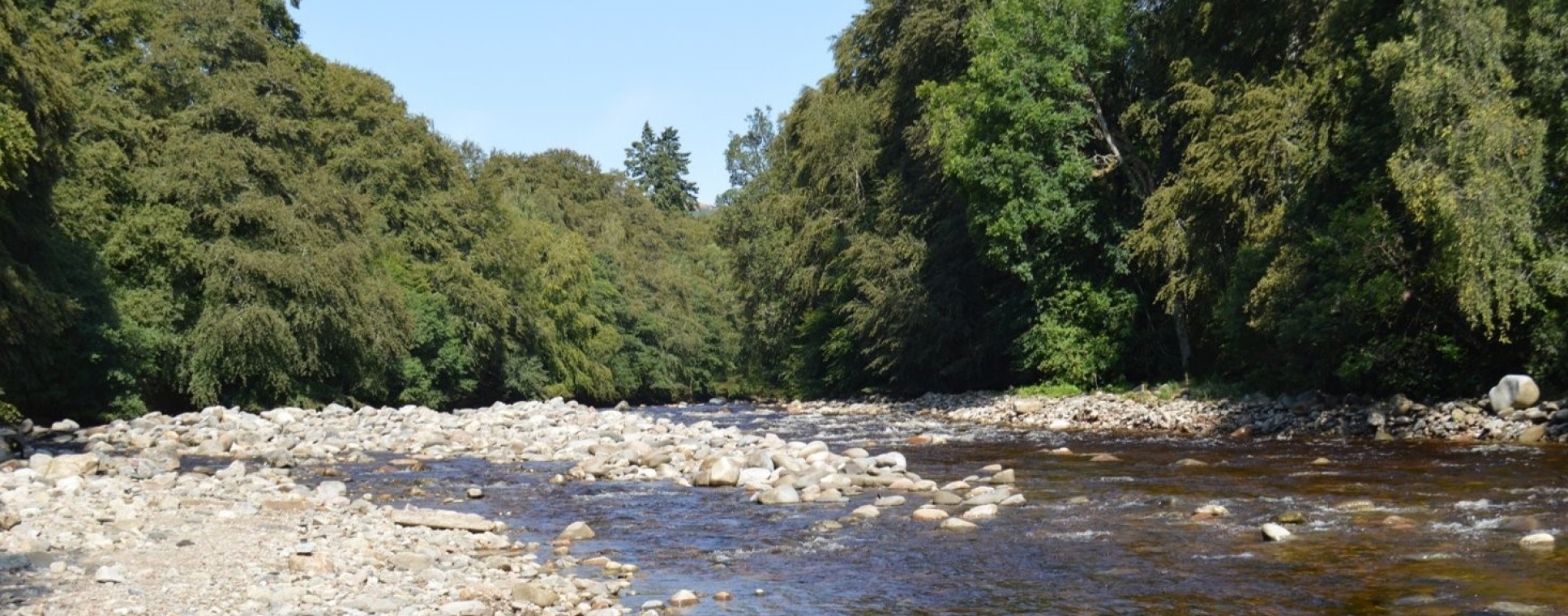 A river with stony edges is surround by trees on a sunny day with blue sky