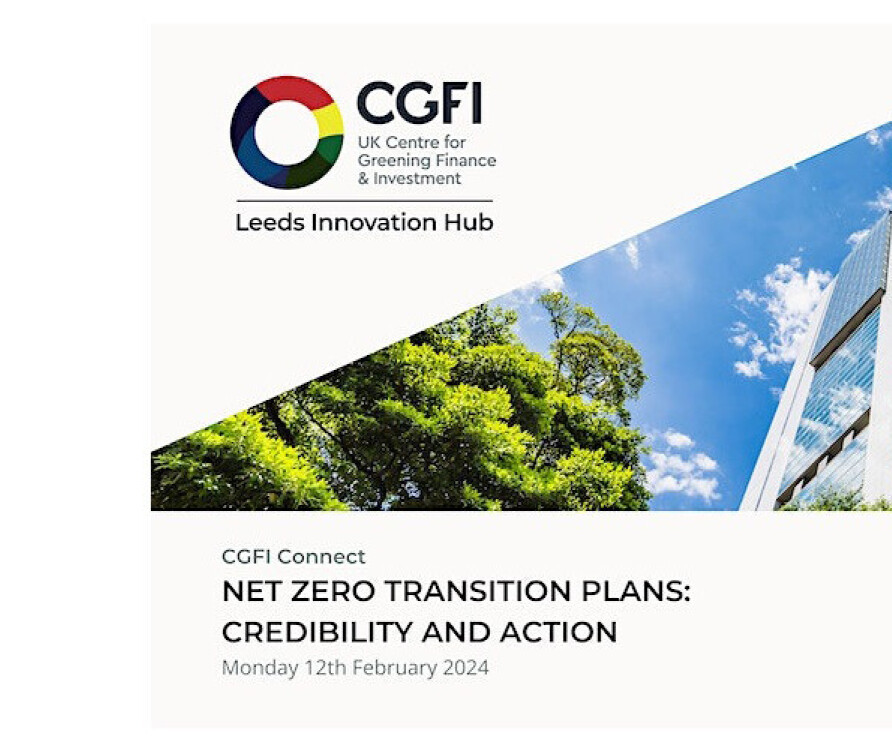 Net Zero Transition Plans: Credibility and Action