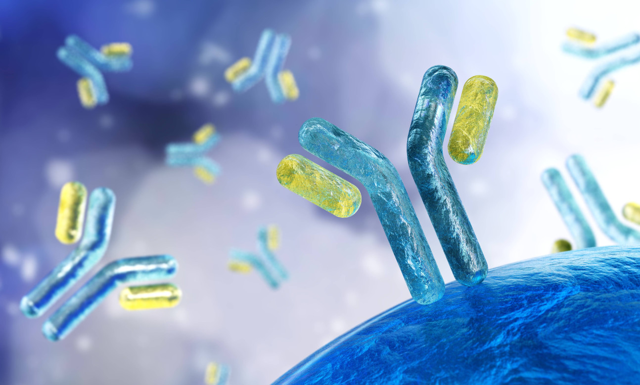 CGI picture of immunoglobulin