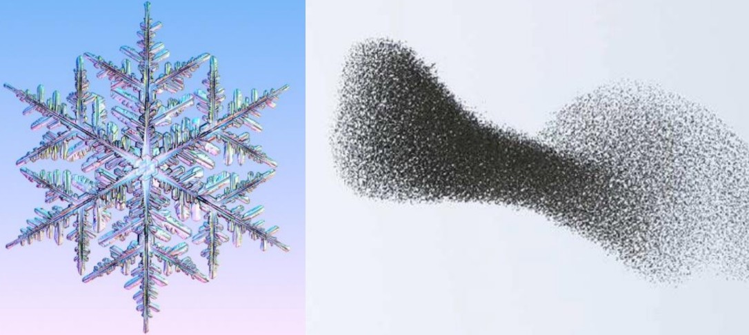 Snow flake and bird flock