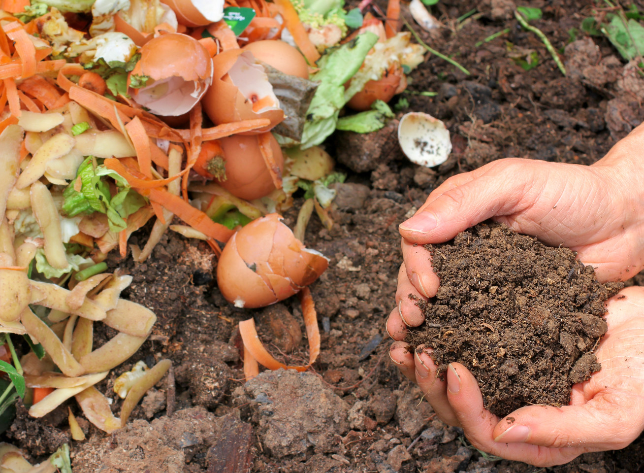 Image of a person holding a handful of soil by compost
