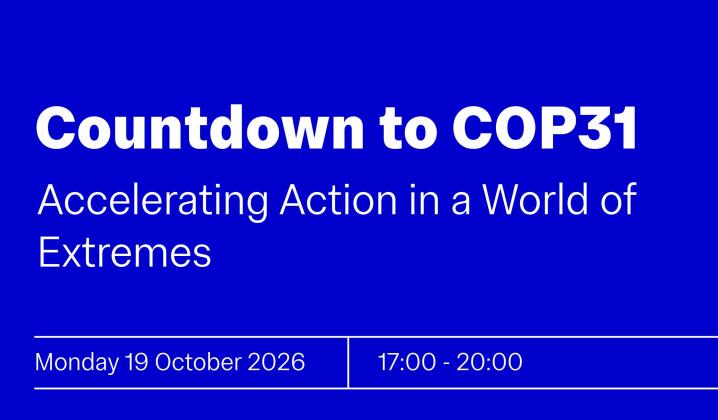 Countdown to COP31. White text on blue background with a photo of a wildfire