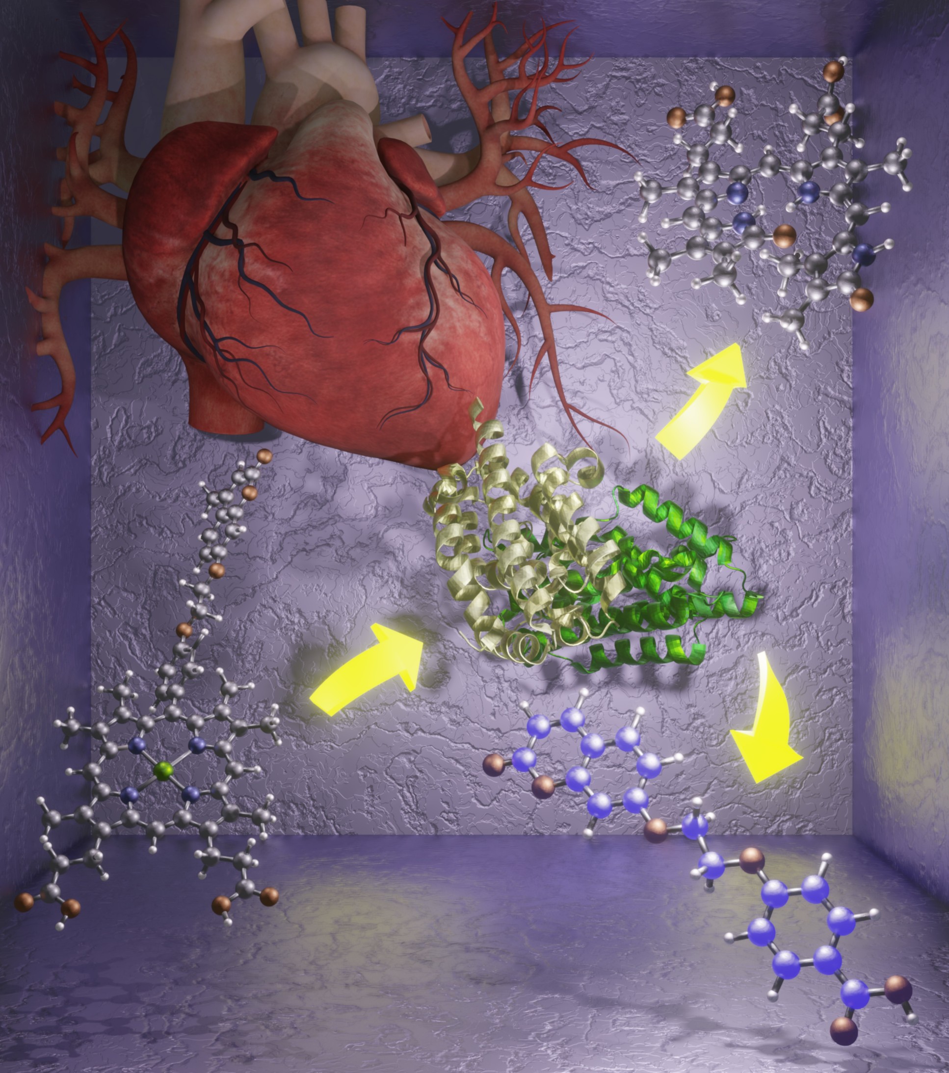 Illustration of a heart with molecules