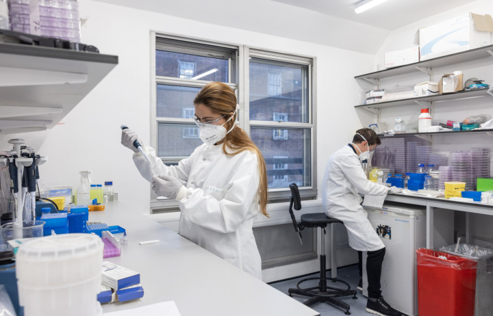 A researcher in a laboratory