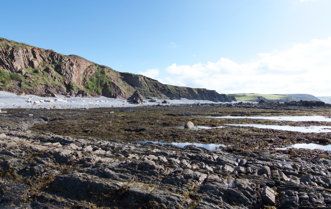 Rock coast at Bideford site showing cliff, beach, and platform 