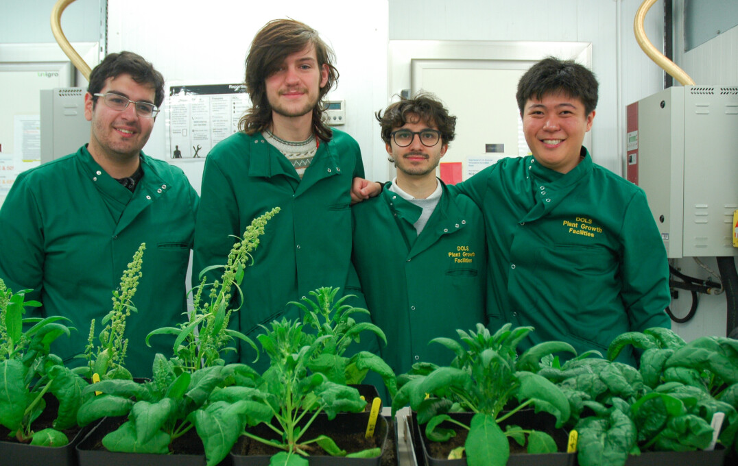 Scientists infront of spinach leaves