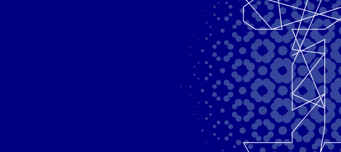 dsi banner