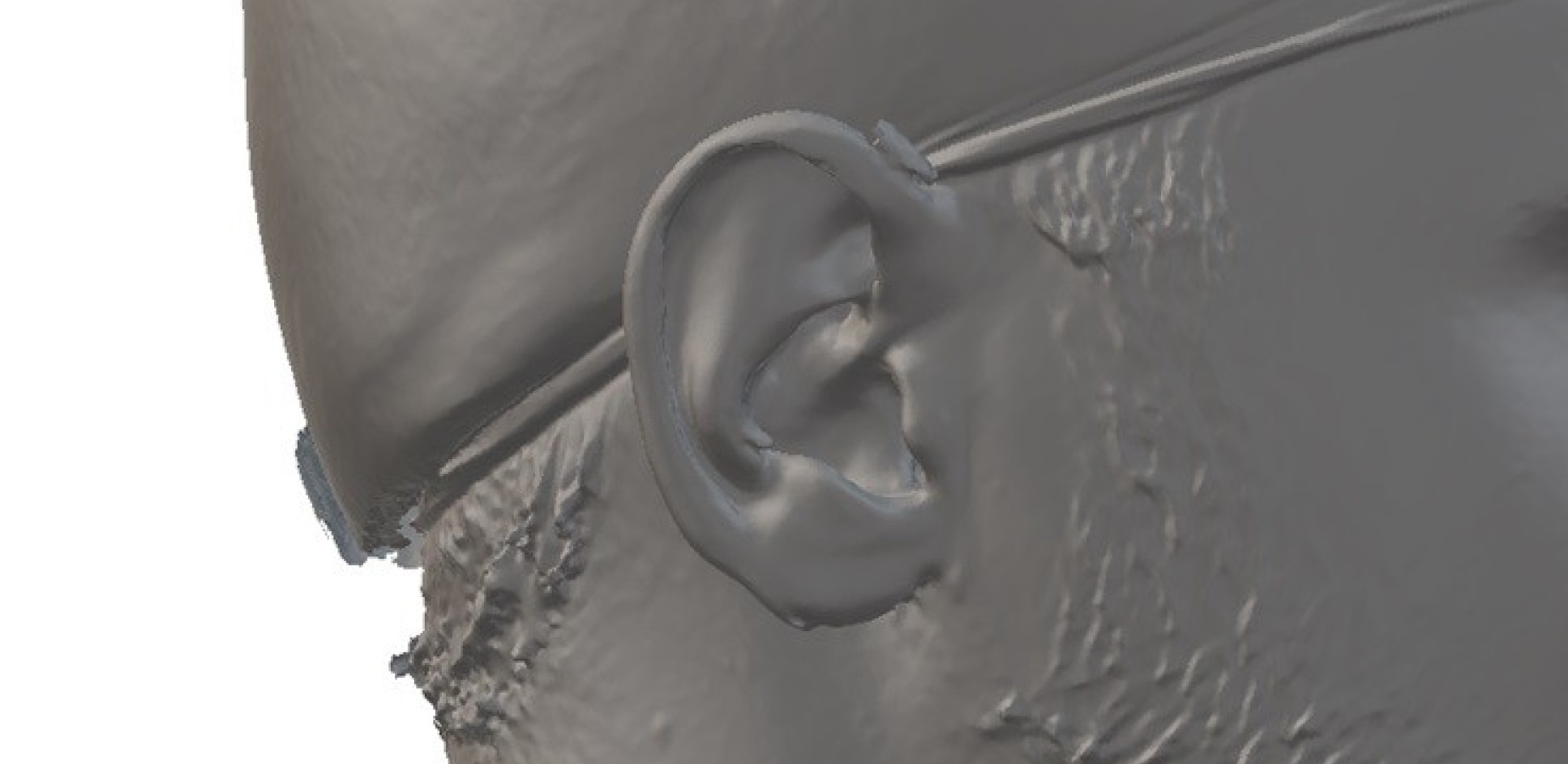 A 3D rendering of the author's ear