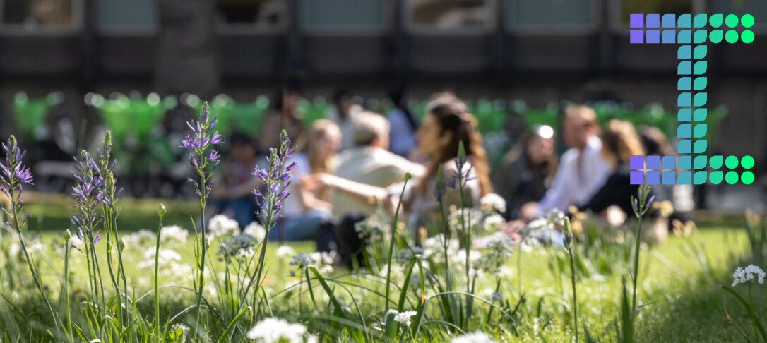 Queen's lawn with Sustainable Imperial I