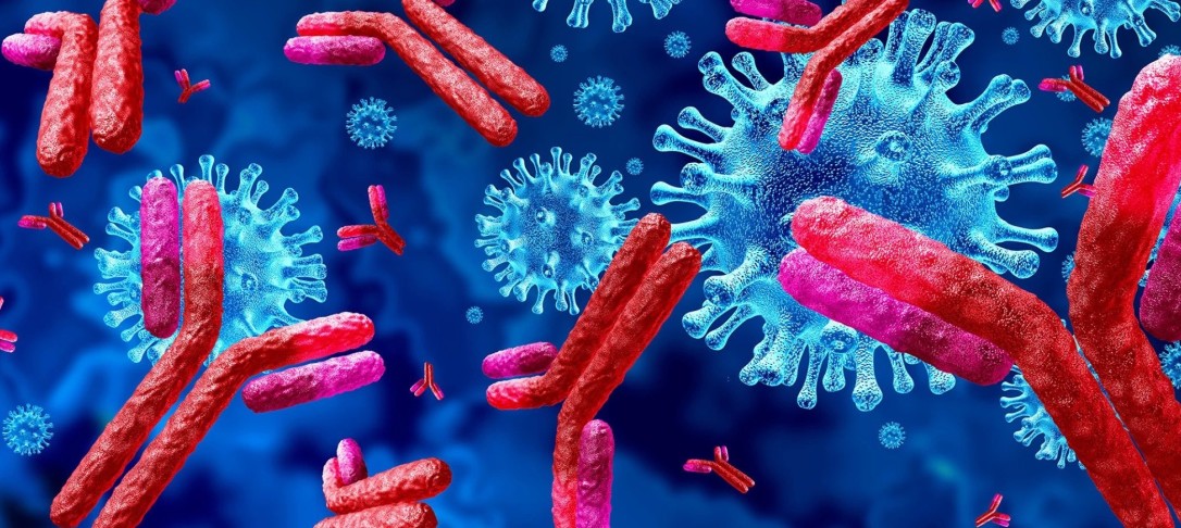Immunopathology network