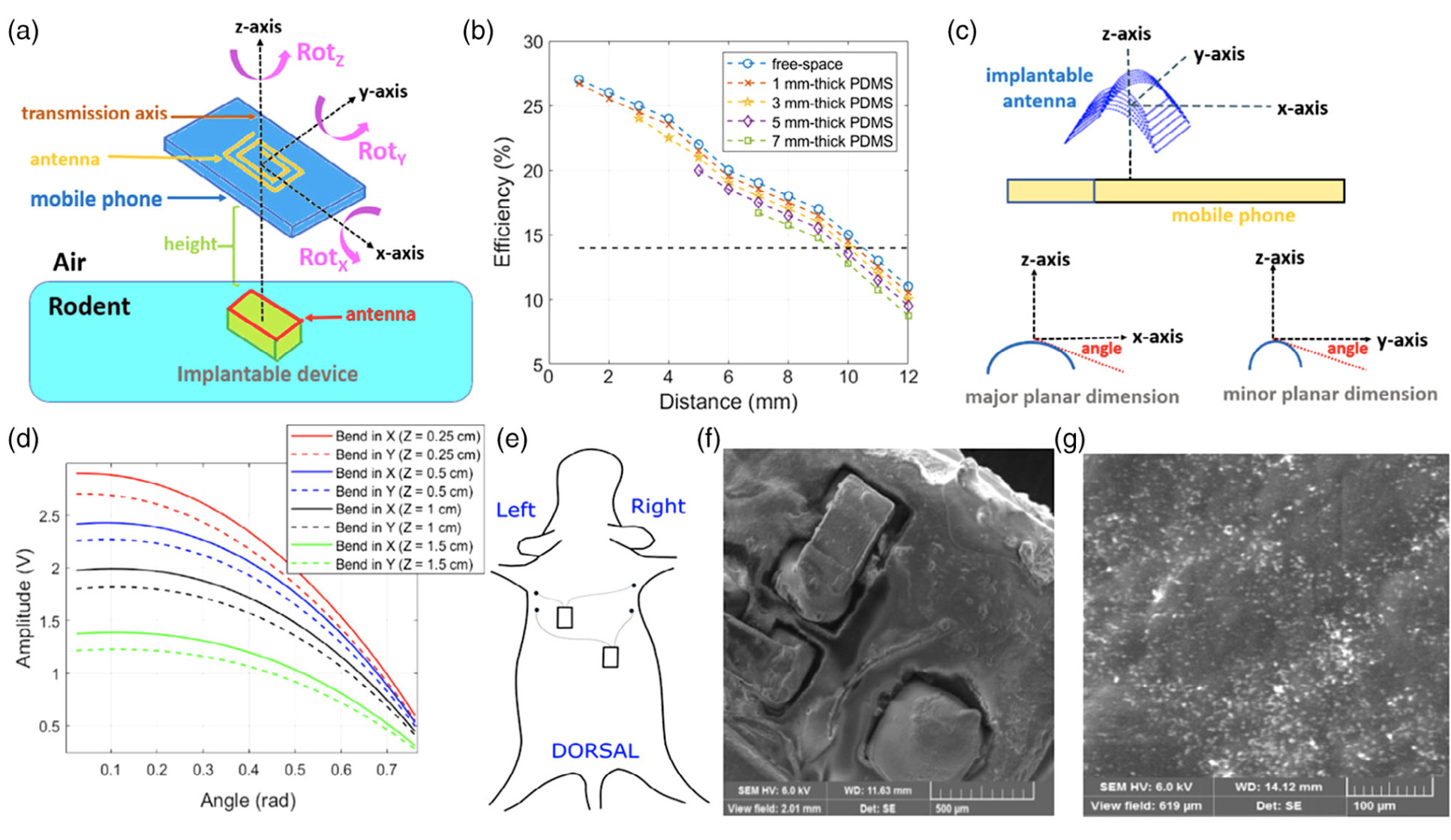 Experimental setups devised for NFC transmission efficiency characterization and the animal trial