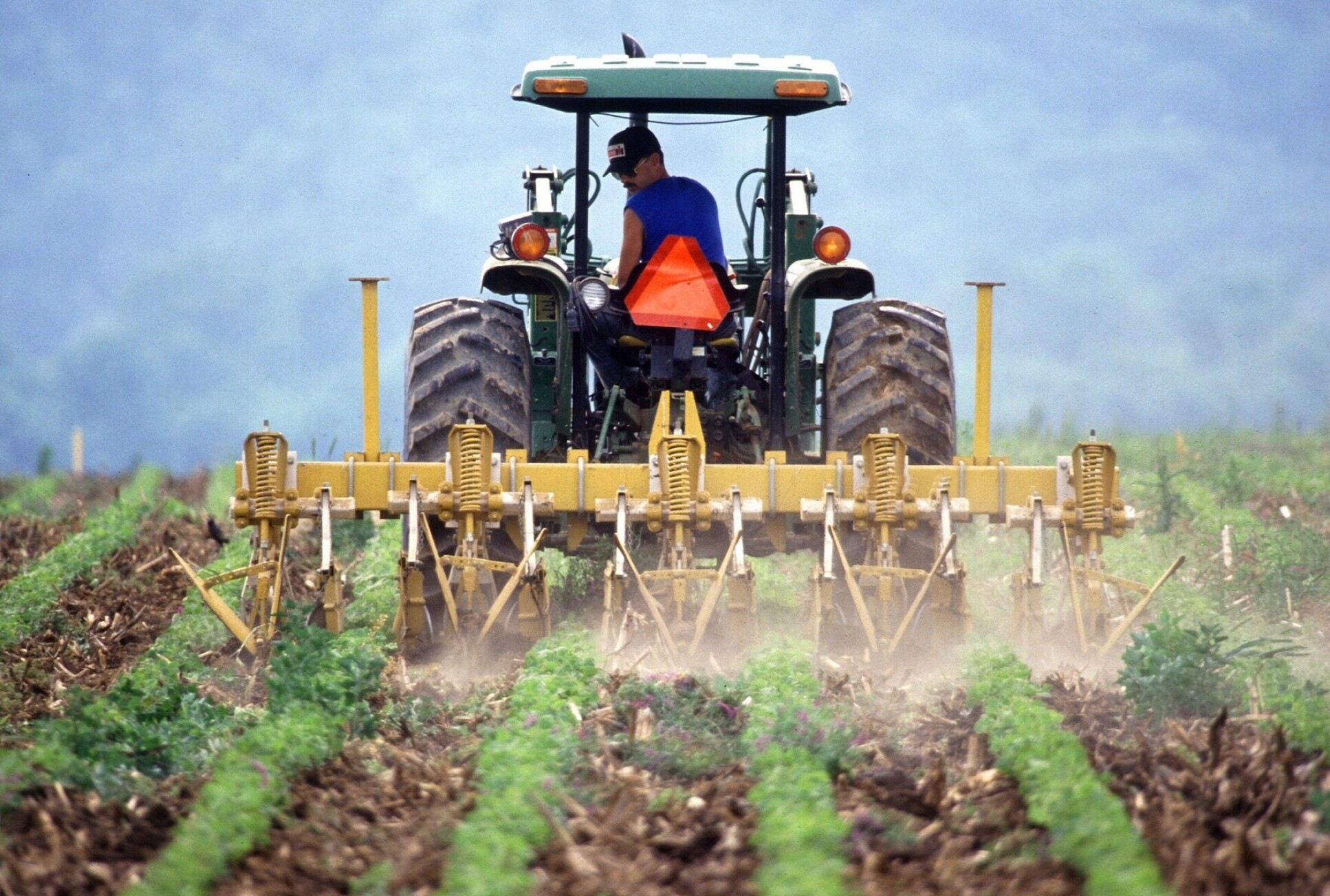 Farming