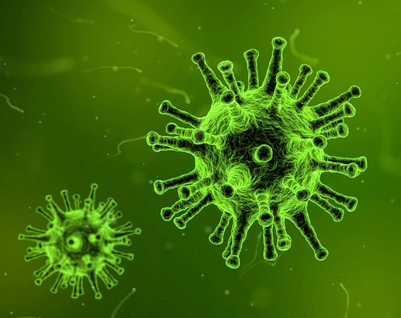 Flu virus illustration