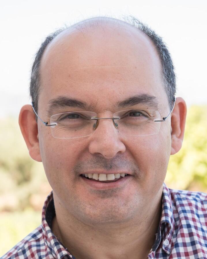 Prof Georgis Chamilos