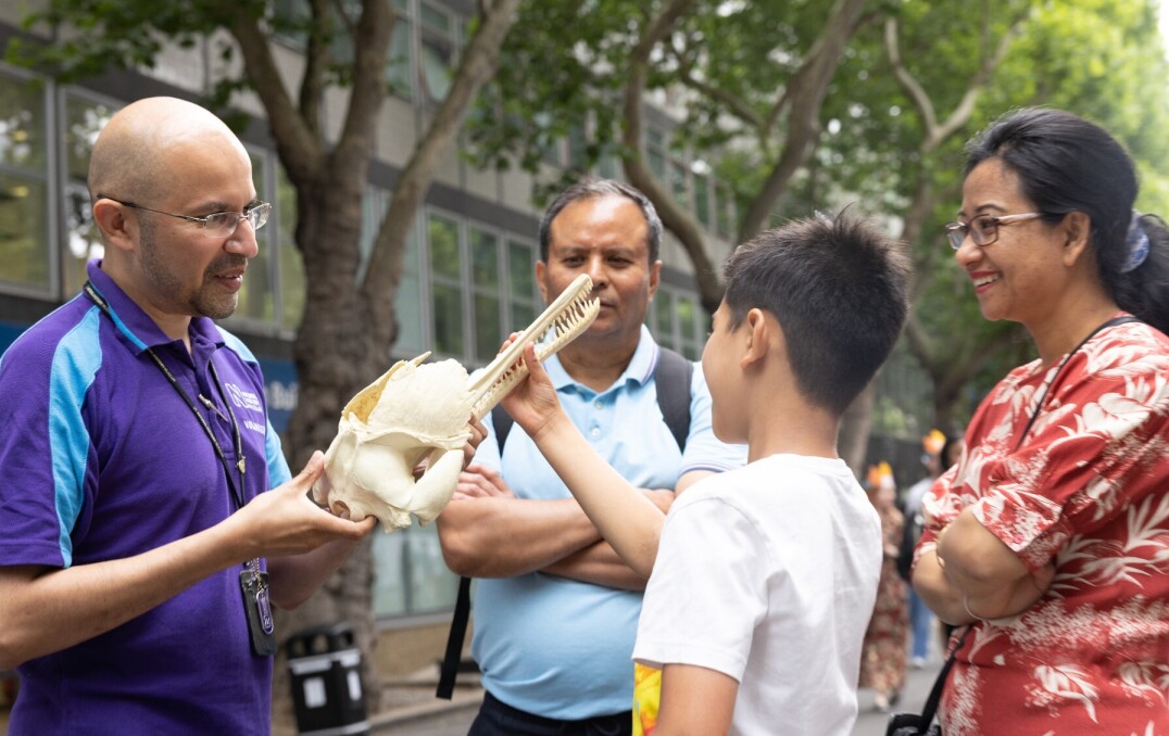 A Great Exhibition Road Festival volunteer shows a skull to a group of visitors.