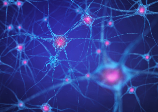 diagrama de células cerebrales