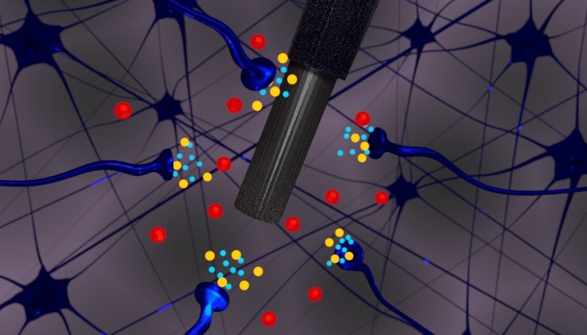 3D rendering showing the microelectrode among different neurons