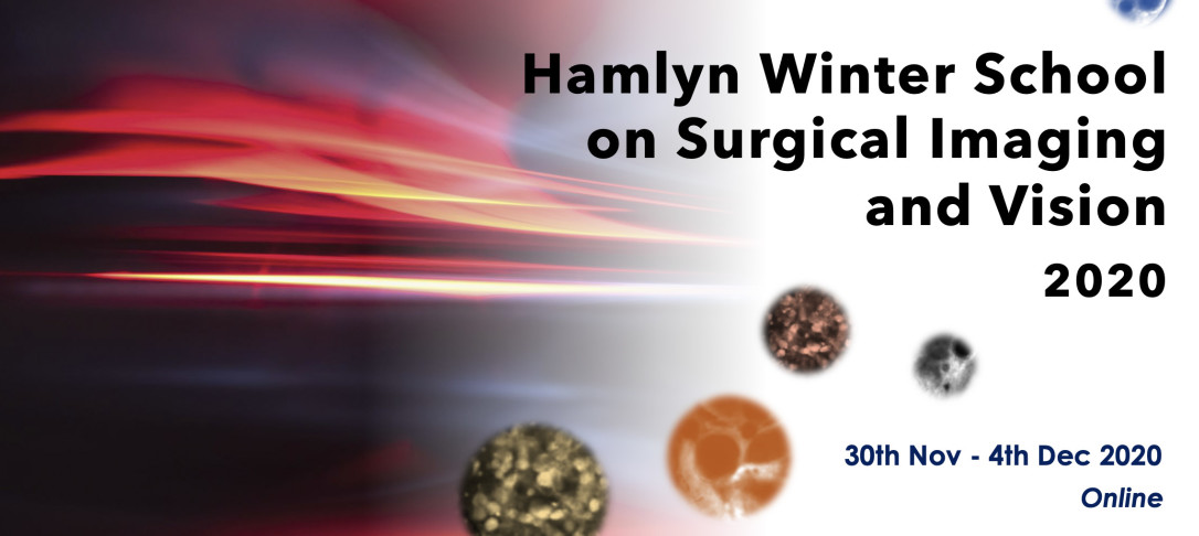 Hamlyn Winter School on Surgical Imaging and Vision 2020