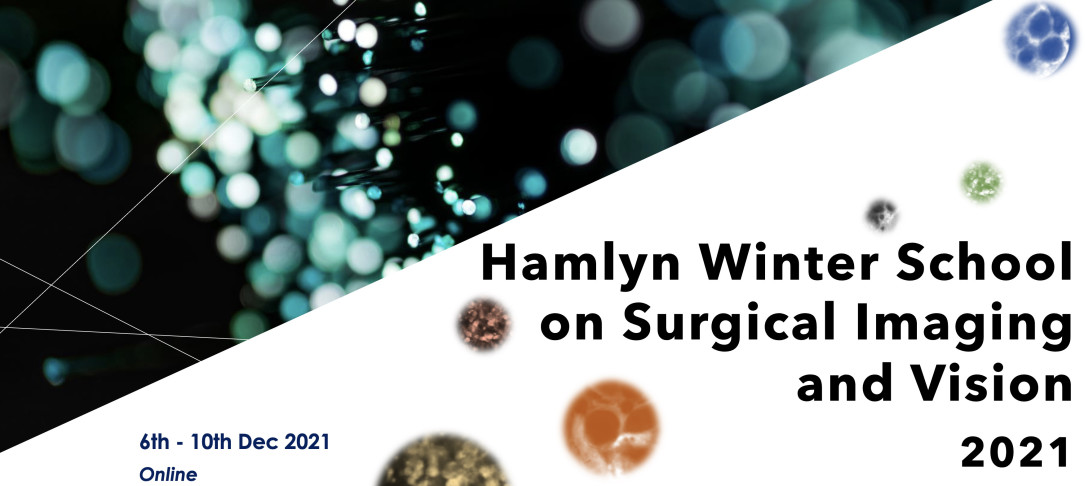 Hamlyn Winter School on Surgical Imaging and Vision 2021