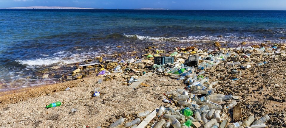 Plastic pollution in the ocean | Grantham Institute – Climate Change and the Environment | Imperial College London