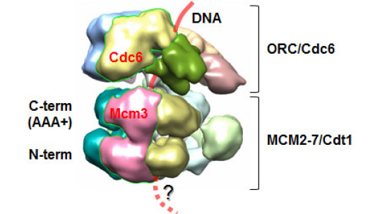 3D structure