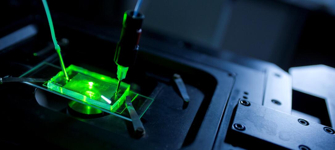 Microfluidic in vitro synthetic biology platform
